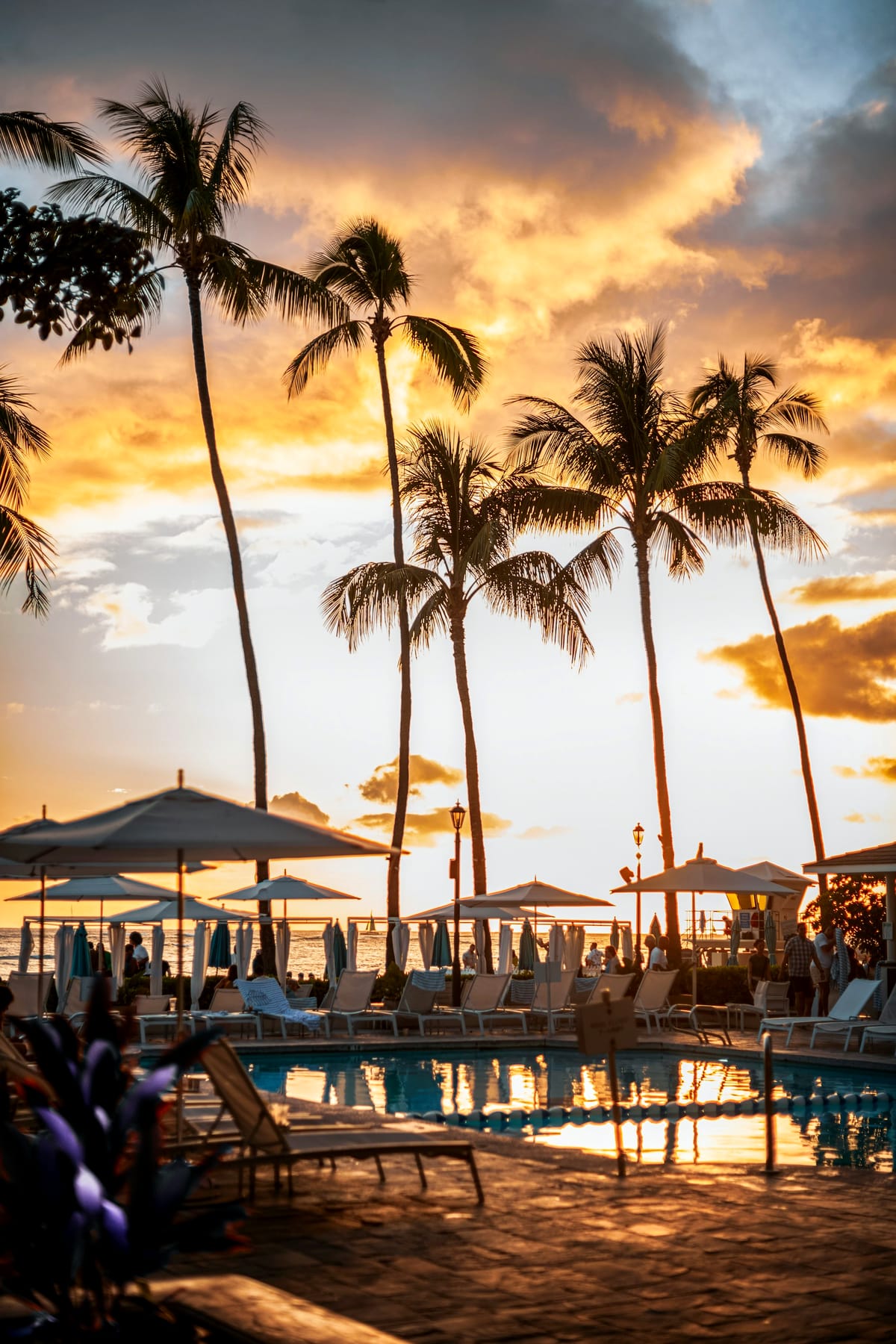 Palm trees and resort pool at sunset in Hawaii